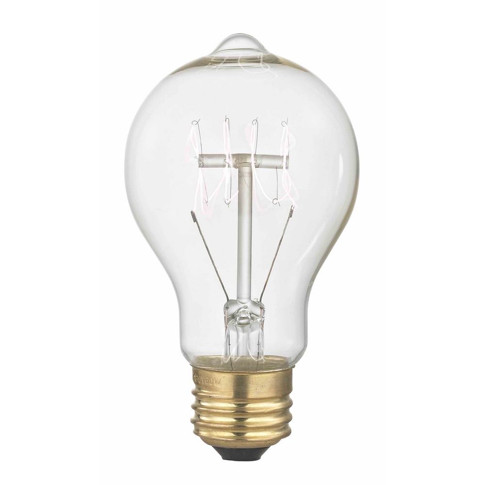 Nostalgic Vintage Edison Carbon Filament Light Bulb - 40-Watts 2400K at  Destination Lighting