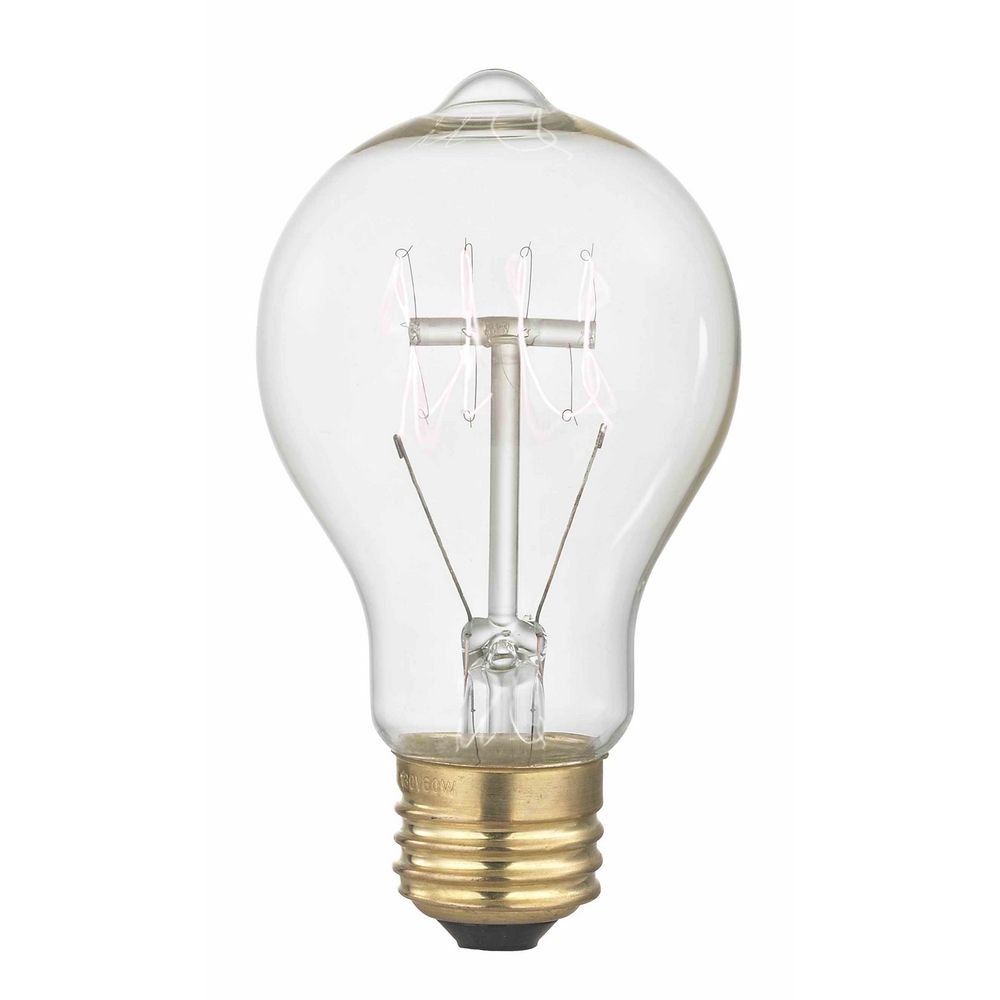 Nostalgic Vintage Edison Carbon Light Bulb - 40-Watts | 40A19 FILAMENT | Destination