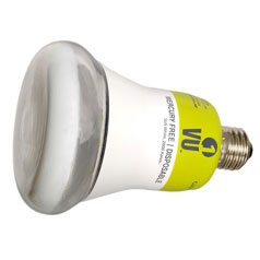 Destination Lighting Shop ESL Bulbs