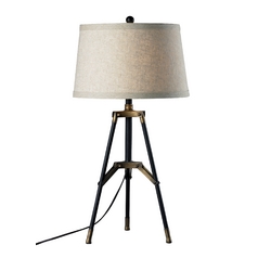 Destination Lighting Transitional Style Lighting